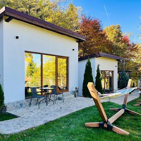 Silver Bungalow Sacele Exterior photo