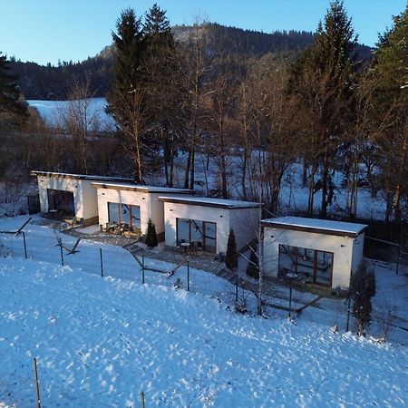 Silver Bungalow Sacele Exterior photo