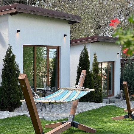 Silver Bungalow Sacele Exterior photo